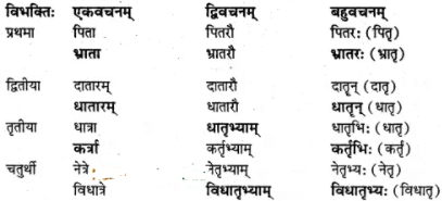 अभ्यास - अनारिकायाः जिज्ञासा | NCERT Solution | संस्कृत कक्षा 7 (Sanskrit Class 7)