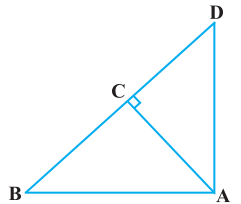 NCERT Solutions for Class 10 Maths Chapter 6 - Triangles (Exercise 6.5)
