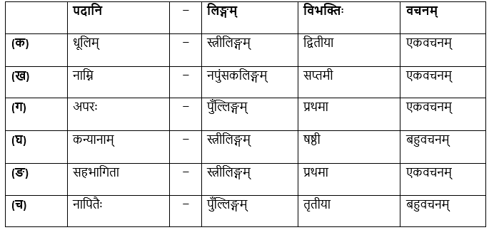 सावित्री बाई फुले NCERT Solutions | संस्कृत कक्षा 8 (Sanskrit Class 8)