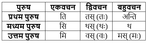 धातुरूप सामान्‍य परिचय | Chapter Explanation | संस्कृत कक्षा 9 (Sanskrit Class 9)
