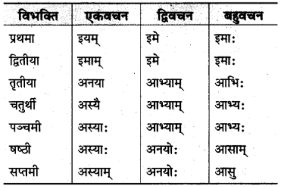 शब्‍दरूप सामान्‍य परिचय | Chapter Explanation | संस्कृत कक्षा 9 (Sanskrit Class 9)