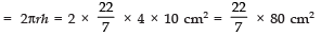 NCERT Solutions for Class 10 Maths Chapter 12 - Surface Areas and Volumes (Exercise 12.5)