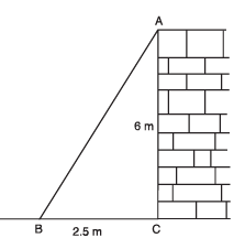 Class 10 Maths Chapter 8 HOTS Questions - Introduction to Trigonometry