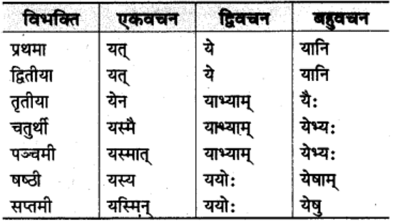 शब्‍दरूप सामान्‍य परिचय | Chapter Explanation | संस्कृत कक्षा 9 (Sanskrit Class 9)