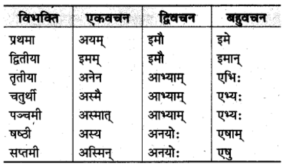 शब्‍दरूप सामान्‍य परिचय | Chapter Explanation | संस्कृत कक्षा 9 (Sanskrit Class 9)