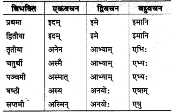 शब्‍दरूप सामान्‍य परिचय | Chapter Explanation | संस्कृत कक्षा 9 (Sanskrit Class 9)