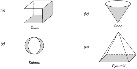 Important Questions for Class 8 Maths - Visualising Solid Shapes