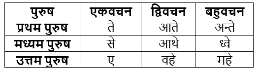 धातुरूप सामान्‍य परिचय | Chapter Explanation | संस्कृत कक्षा 9 (Sanskrit Class 9)