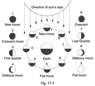 Stars and the Solar System Class 8 Notes Science
