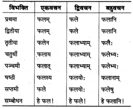 शब्‍दरूप सामान्‍य परिचय | Chapter Explanation | संस्कृत कक्षा 9 (Sanskrit Class 9)