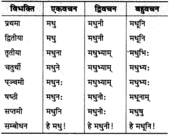 शब्‍दरूप सामान्‍य परिचय | Chapter Explanation | संस्कृत कक्षा 9 (Sanskrit Class 9)