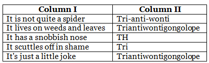 The Triantiwontigongolope Class 8 Worksheet English