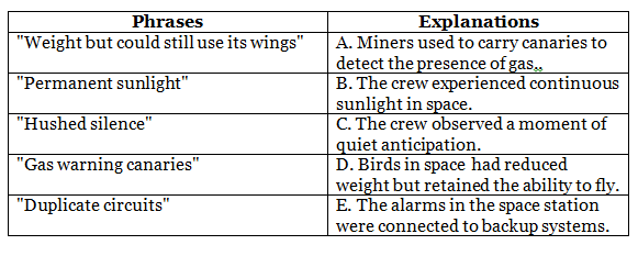 Worksheet with Solutions: Feathered Friend Class 8 Worksheet English