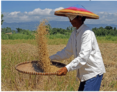 Crop Production and Management Class 8 Notes Science Chapter 1