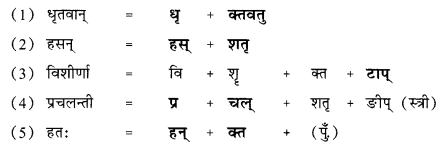 भूकम्पविभीषिका | NCERT Solution | संस्कृत कक्षा 10 (Sanskrit Class 10)