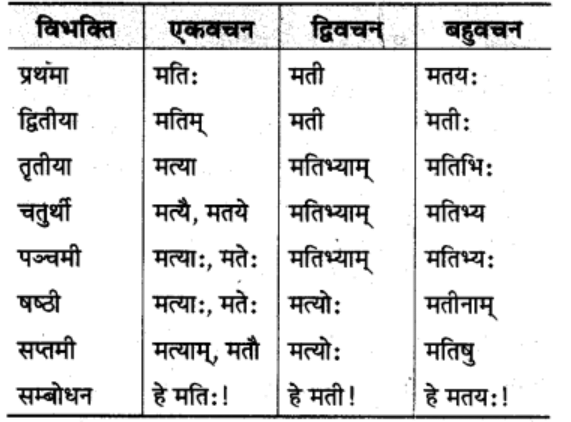 शब्‍दरूप सामान्‍य परिचय | Chapter Explanation | संस्कृत कक्षा 9 (Sanskrit Class 9)