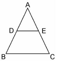 NCERT Solutions for Class 10 Maths Chapter 6 - Triangles (Exercise 6.1)