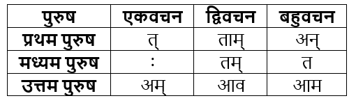 धातुरूप सामान्‍य परिचय | Chapter Explanation | संस्कृत कक्षा 9 (Sanskrit Class 9)