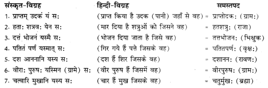 समास परिचय | Chapter Explanation | संस्कृत कक्षा 9 (Sanskrit Class 9)