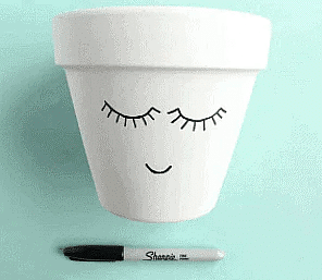 Craft Ideas: Pretty Face Planters | Art & Craft (Basics) - Class 10