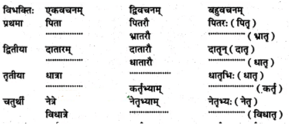 अभ्यास - अनारिकायाः जिज्ञासा | NCERT Solution | संस्कृत कक्षा 7 (Sanskrit Class 7)