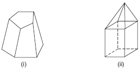 NCERT Solutions for Class 8 Maths - Visualising Solid Shapes - 2