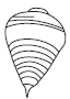 NCERT Solutions for Class 8 Maths - Visualising Solid Shapes - 1