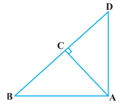 NCERT Solutions for Class 10 Maths Chapter 6 - Triangles (Exercise 6.4)