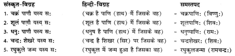 समास परिचय | Chapter Explanation | संस्कृत कक्षा 9 (Sanskrit Class 9)