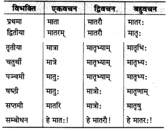 शब्‍दरूप सामान्‍य परिचय | Chapter Explanation | संस्कृत कक्षा 9 (Sanskrit Class 9)