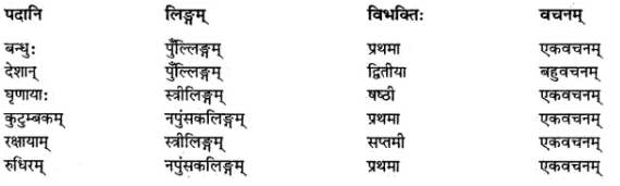 अभ्यास - विश्वबंधुत्वम् | NCERT Solution | संस्कृत कक्षा 7 (Sanskrit Class 7)
