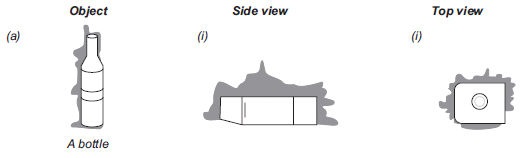 NCERT Solutions for Class 8 Maths - Visualising Solid Shapes - 1