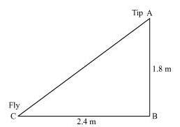NCERT Solutions for Class 10 Maths Chapter 3 - Triangles (Exercise 6.6)
