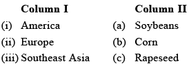 English Olympiad Model Test Paper - 1 | English Olympiad for Class 8