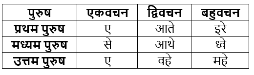 धातुरूप सामान्‍य परिचय | Chapter Explanation | संस्कृत कक्षा 9 (Sanskrit Class 9)