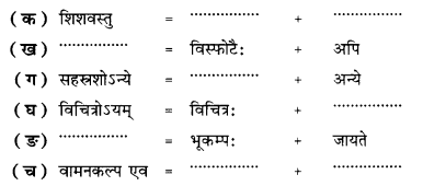 भूकम्पविभीषिका | NCERT Solution | संस्कृत कक्षा 10 (Sanskrit Class 10)