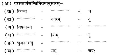 भूकम्पविभीषिका | NCERT Solution | संस्कृत कक्षा 10 (Sanskrit Class 10)