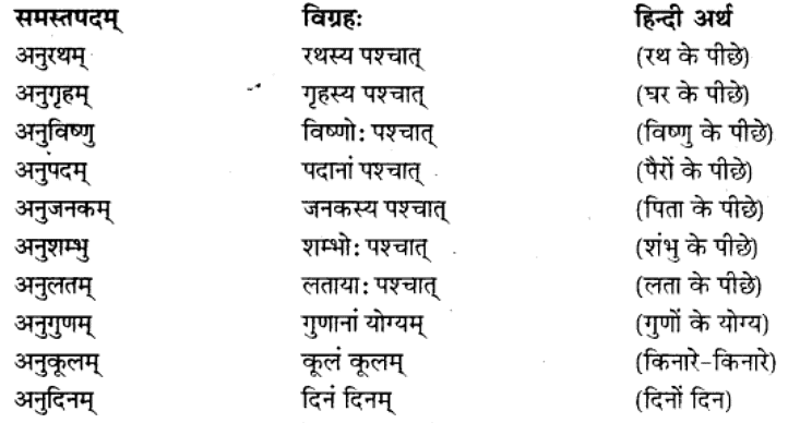 समास परिचय | Chapter Explanation | संस्कृत कक्षा 9 (Sanskrit Class 9)