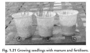 Long Answers - Crop Production and Management, Science, Class 8