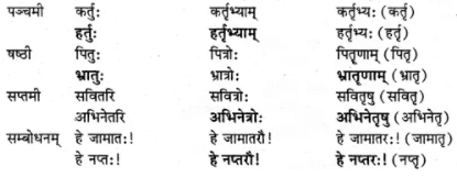 अभ्यास - अनारिकायाः जिज्ञासा | NCERT Solution | संस्कृत कक्षा 7 (Sanskrit Class 7)