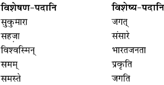 अभ्यासः - भारतजनताऽहम्, रुचिरा, संस्कृत, कक्षा - 8 | संस्कृत कक्षा 8 (Sanskrit Class 8)