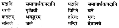 अभ्यास - लालनगीतम् | NCERT Solution | संस्कृत कक्षा 7 (Sanskrit Class 7)