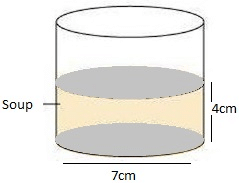 NCERT Solutions for Class 9 Maths Chapter 13 - Exercise 13.6 Surface Areas and Volumes