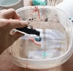 Craft Ideas: Marble Nail Polish Mugs | Art & Craft (Basics) - Class 10