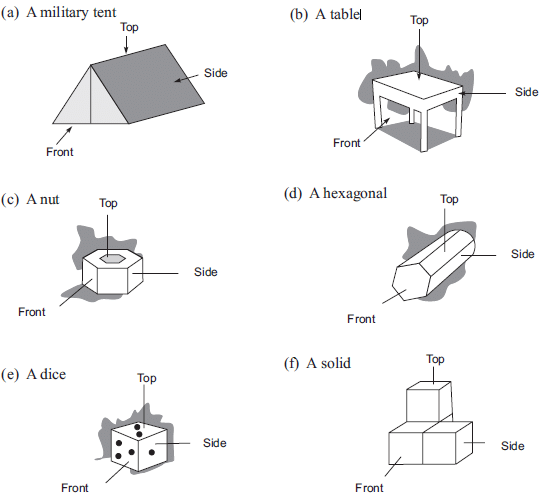 NCERT Solutions for Class 8 Maths - Visualising Solid Shapes - 1
