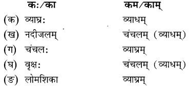 अभ्यासः - कण्टकेनैव कण्टकम्, रुचिरा, संस्कृत, कक्षा - 8 | संस्कृत कक्षा 8 (Sanskrit Class 8)