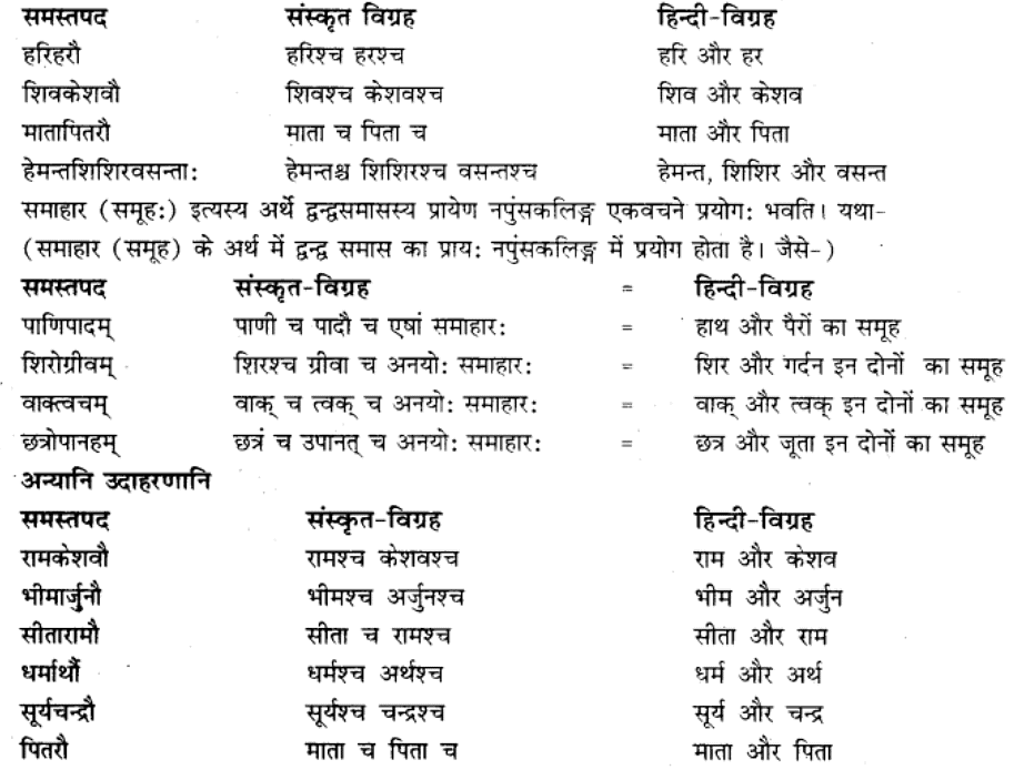 समास परिचय | Chapter Explanation | संस्कृत कक्षा 9 (Sanskrit Class 9)