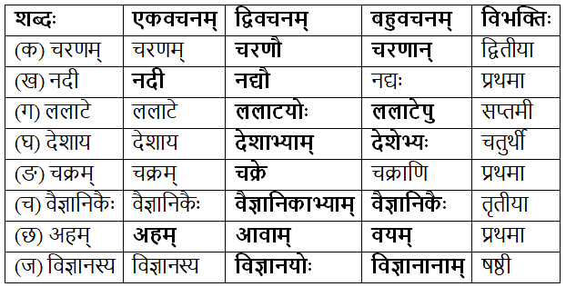 NCERT Solutions for Class 7 Sanskrit Chapter 1 वन्दे भारतमातरम्