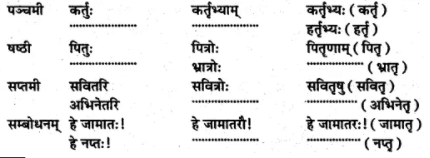 अभ्यास - अनारिकायाः जिज्ञासा | NCERT Solution | संस्कृत कक्षा 7 (Sanskrit Class 7)