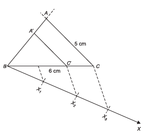 NCERT Solutions for Class 10 Maths Chapter 11 - Facts that Matter and Constructions (Exercise 11.1)
